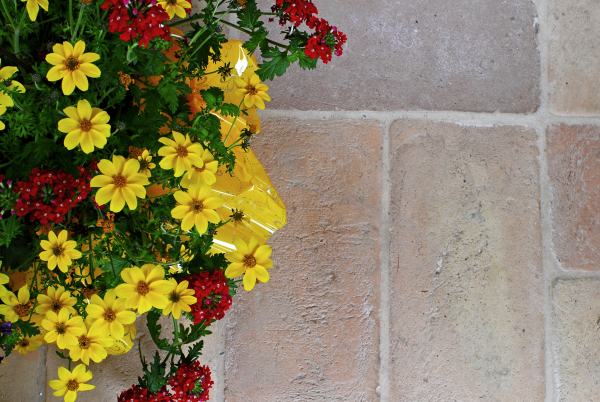 Rectangular Clay Floor Tiles