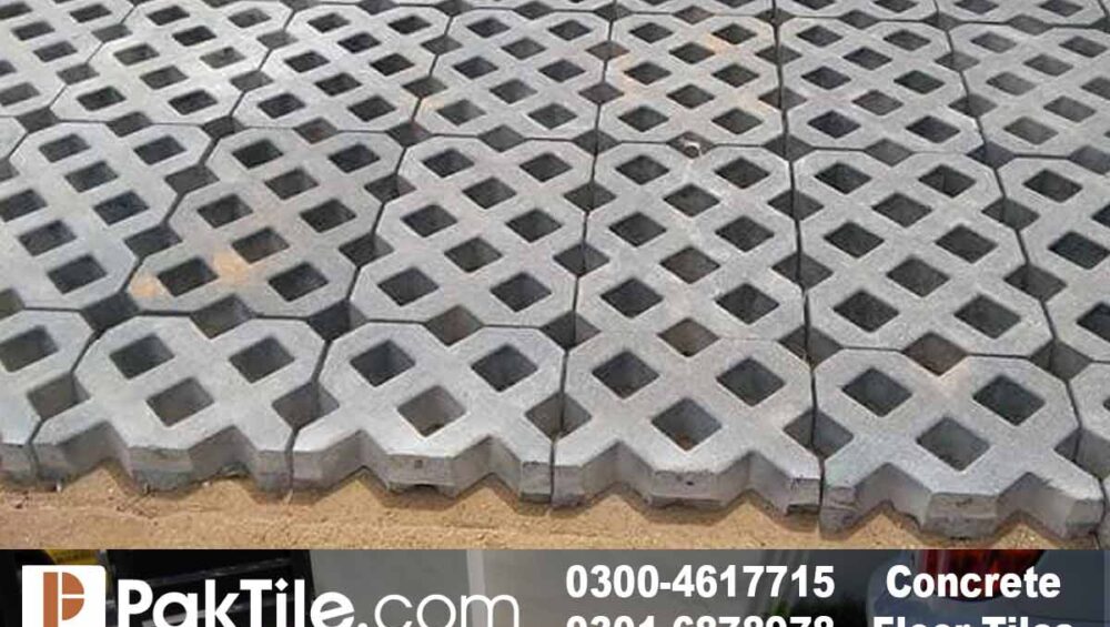 grass Paver in punjab